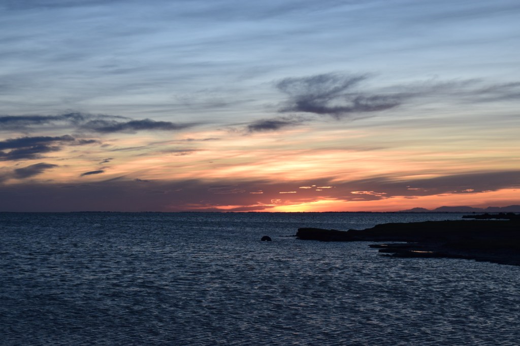 Navigating Unemployment