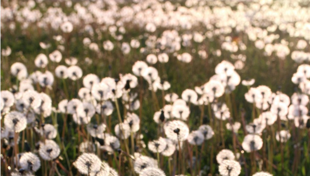 Why You’re Not Too Sensitive – You Just Feel&nbsp;Deeply