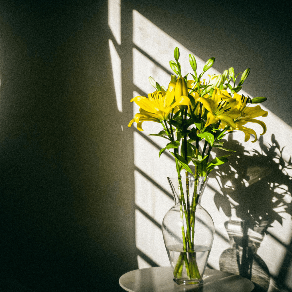 How To Say “No” Without Over-explaining&nbsp;Yourself