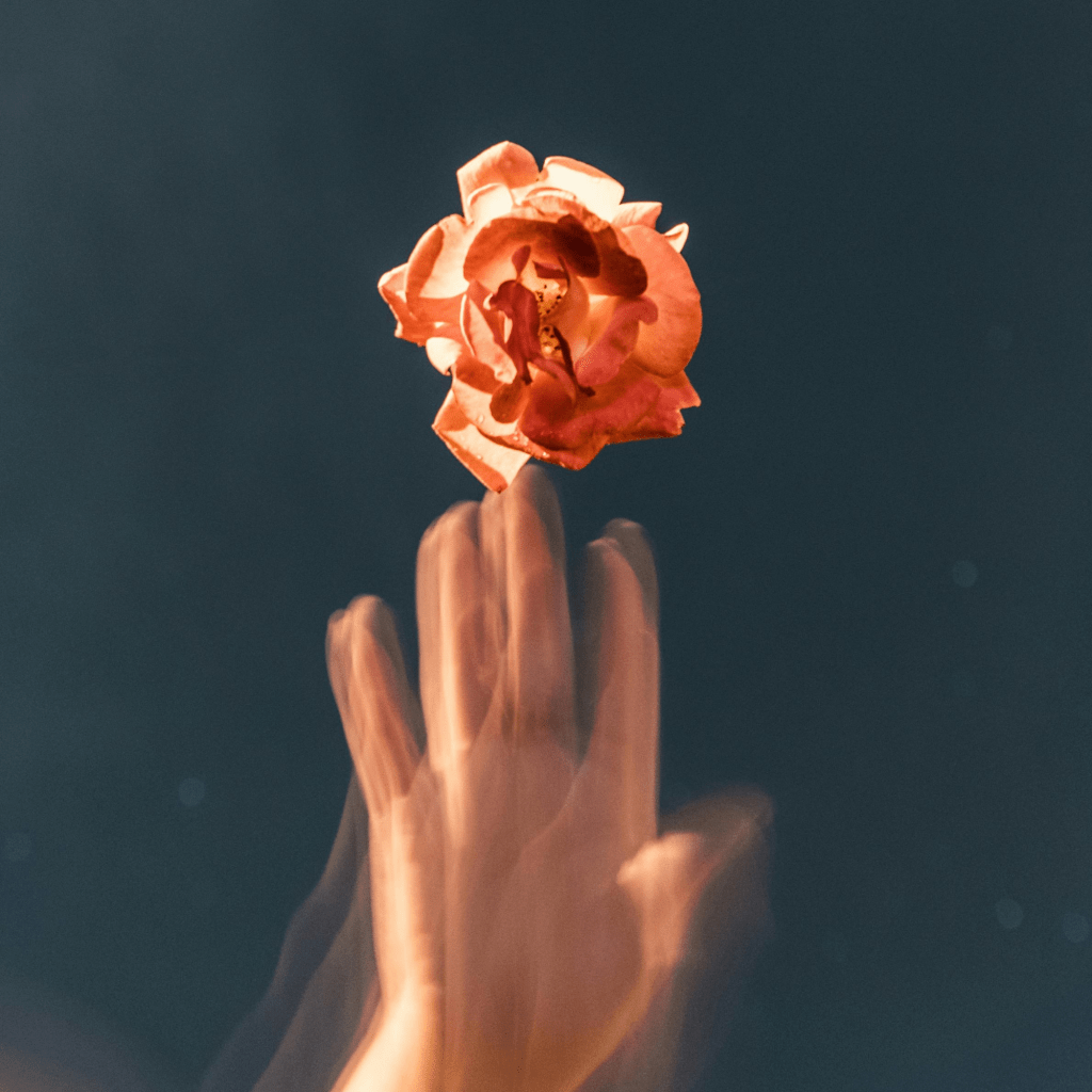 Why I’m Saying Goodbye to Endless How-To’s (And You Might&nbsp;Too)