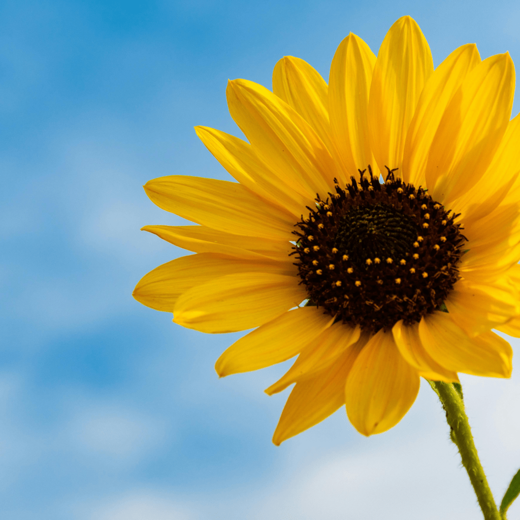 My Journey To Building Freedom: Part&nbsp;1