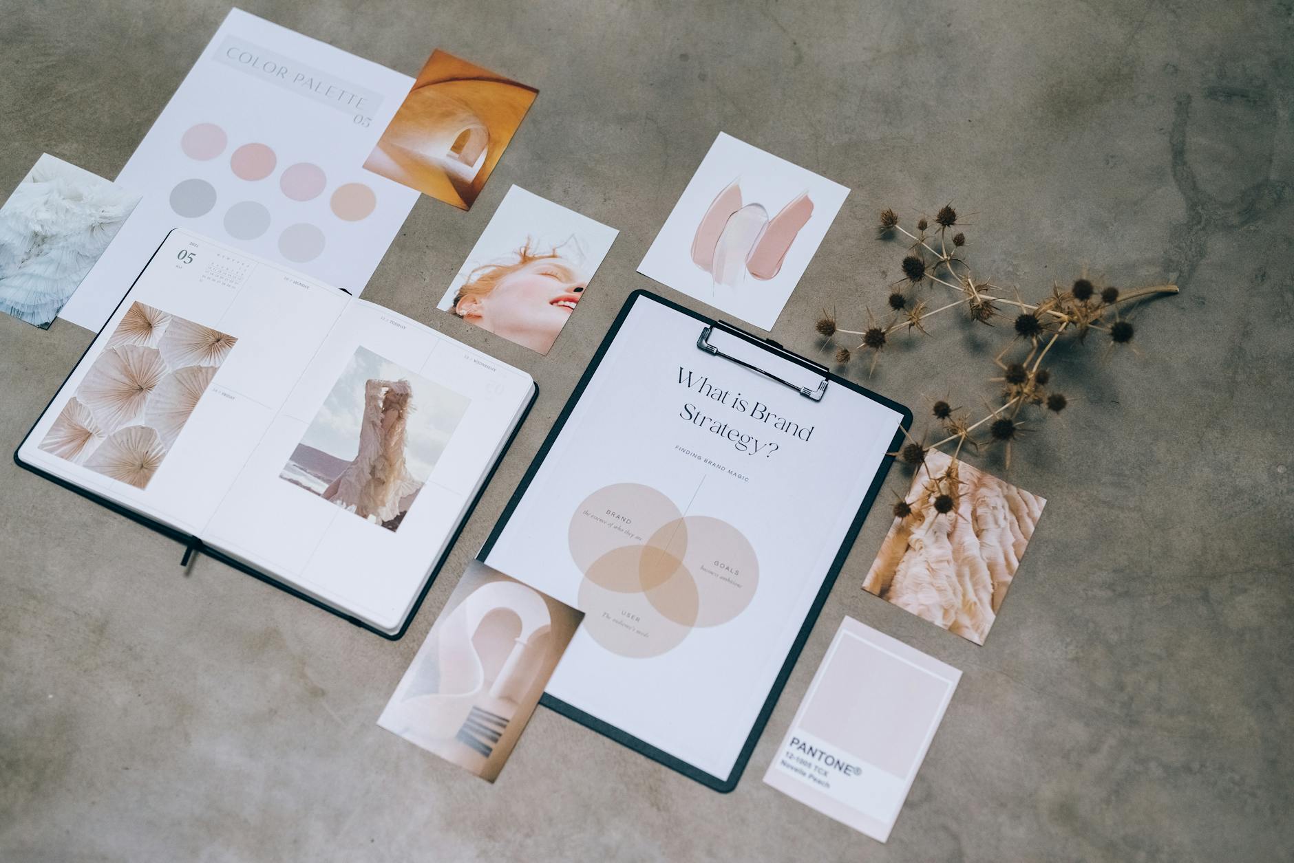 Creating your visual identity as part of your brand identity. The image shows a colour palette with brand images to show aesthetics